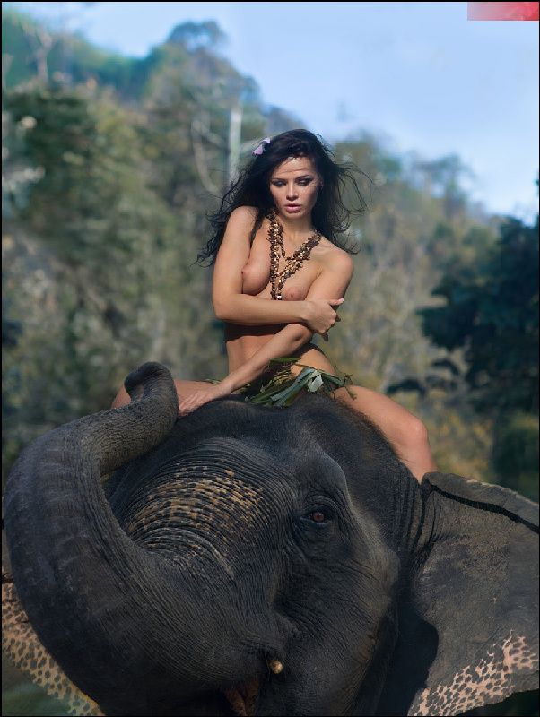 Bone Elephant (vers 2.0) фото превью