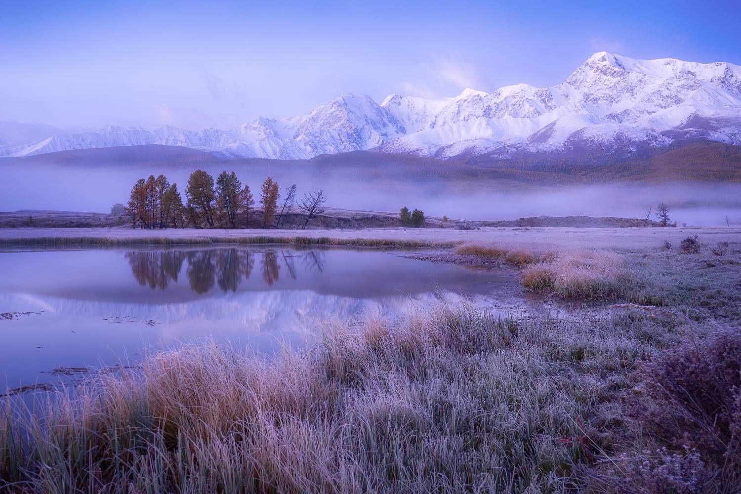 алтай горы лес утро пейзаж красивый озеро, Yuganova Tatyana