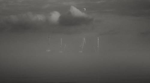 Тумана зимнего визит.