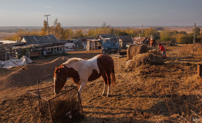 Епифань непарадная фото превью