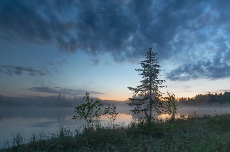 луга, ленобласть, пейзаж, рассвет, туман,  landscape, nature, природа, foggy, forest, болото, ленинградская область Начало белых ночей фото превью
