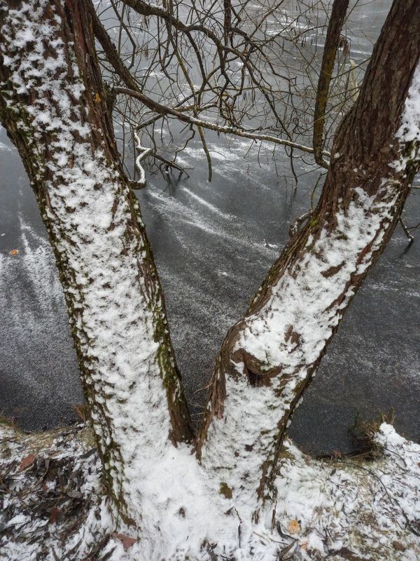 Декабрь фото превью