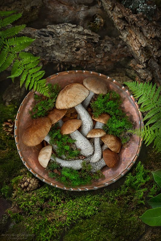 *** фото превью