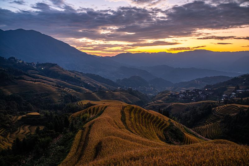 Китай, Террасы, Осень, Восход, Утро Утро на рисовых террасах фото превью