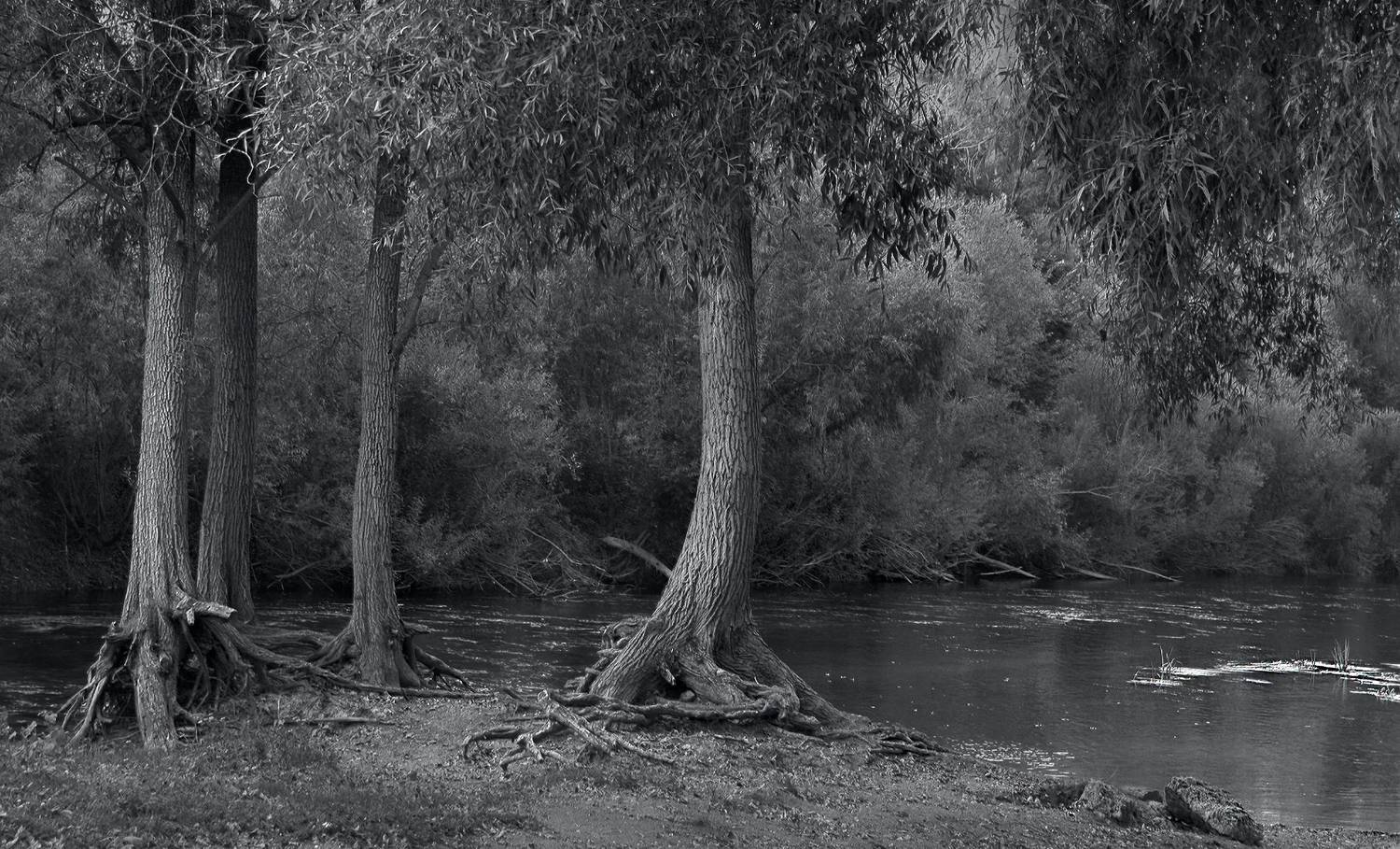 , Заболотская Ольга