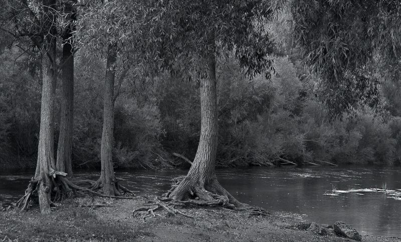 На речке Бирь клёвое место фото превью