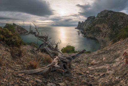 В тишине декабря