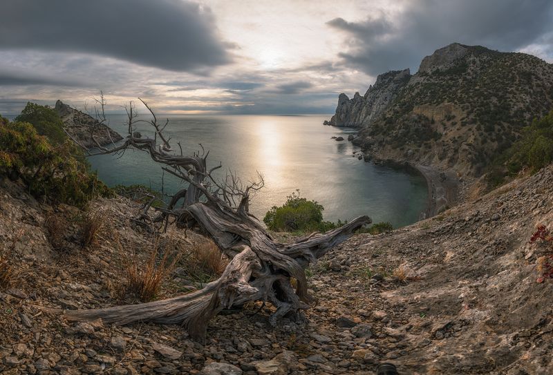 крым, новый свет, караул оба, вечер, декабрь В тишине декабря фото превью