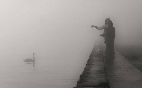 Зимний контакт.