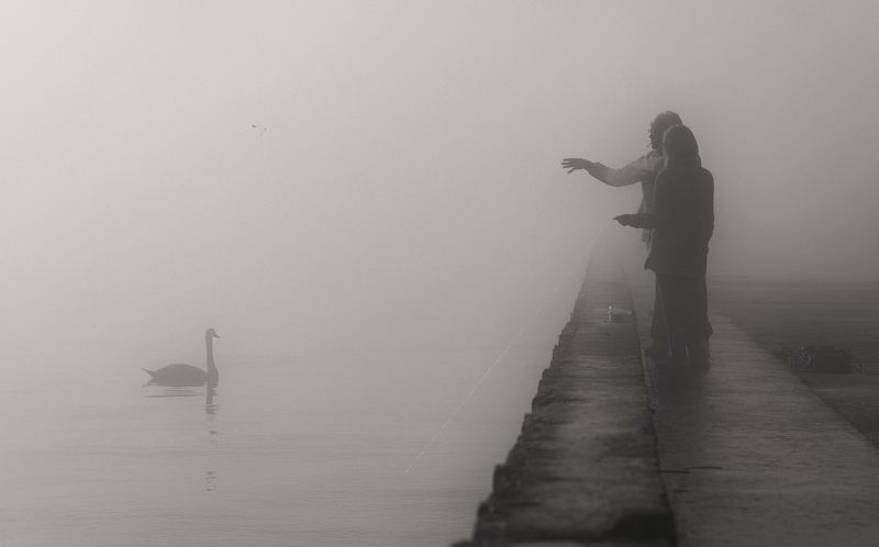 Зимний контакт. фото превью