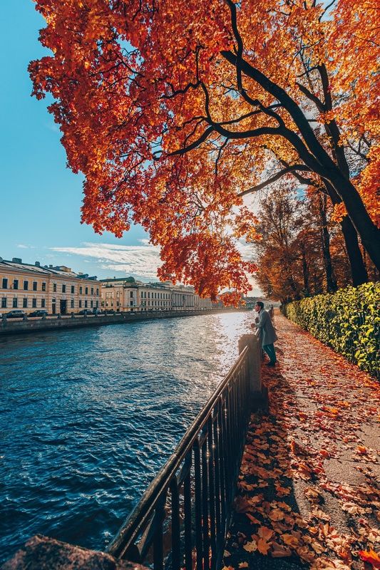 ,архитектура ,осень, питер ,золотая осень ,пейзаж ,autumn, летний сад ,городской пейзаж Золотая осень в городе на Неве фото превью
