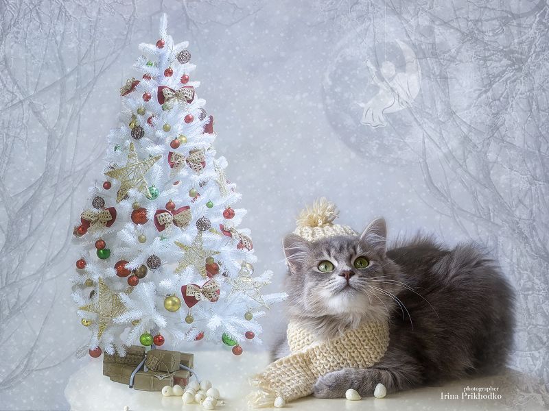 В ожидании праздника фото превью