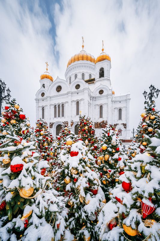 ххс, зима, елки, новогодние украшения, new year, рождество, храм Христа Спасителя, moscow, winter ХХС фото превью