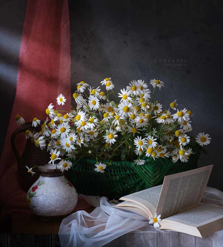 Chamomile фото превью