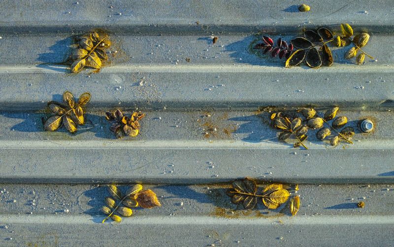 Найденный натюрморт фото превью