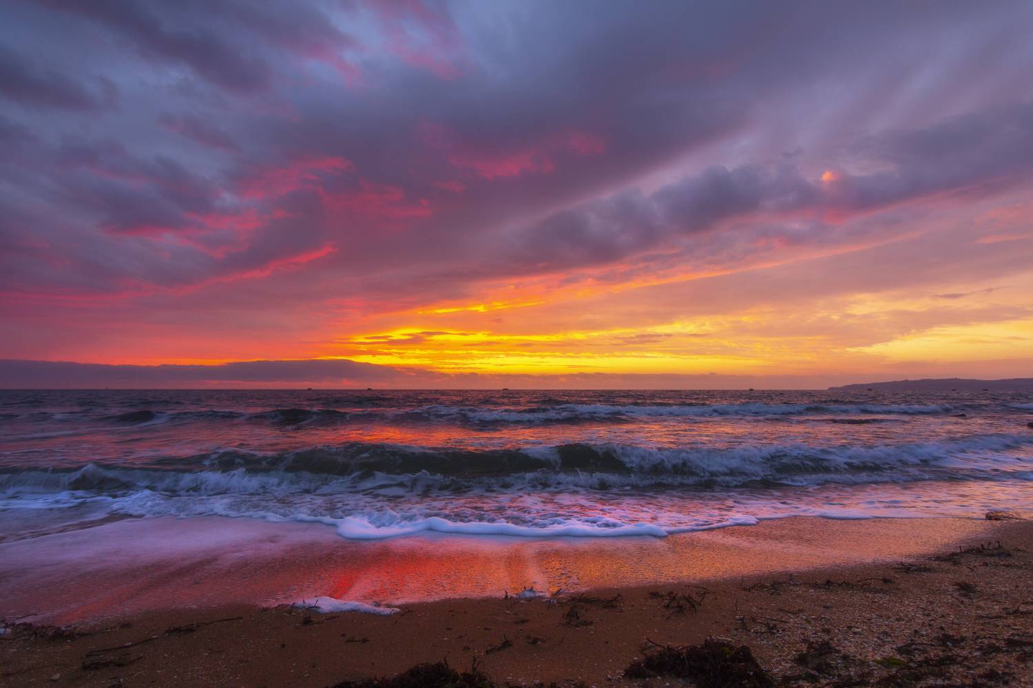 , Юлия Мальцева