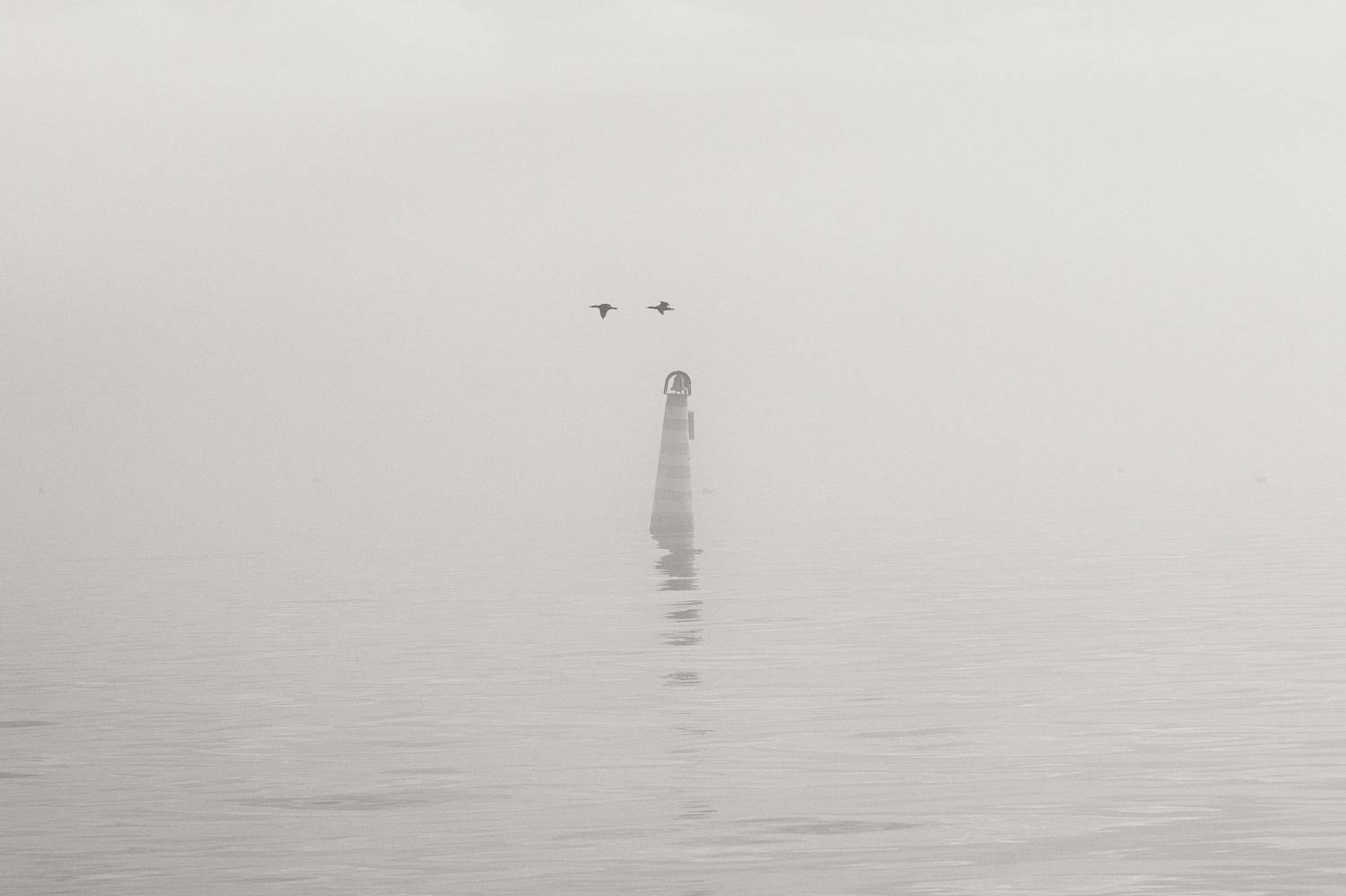зима, природа, уличная фотография, стрит, атмосферное, туман, мистика, загадочность, репортаж, явление, черное море, буй, полёт, птицы, черные бакланы, винтажная оптика, мануальное, юпитер 37а, керчь, республика крым, россия, Щербак Анатолий