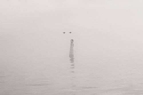 Белый покой.