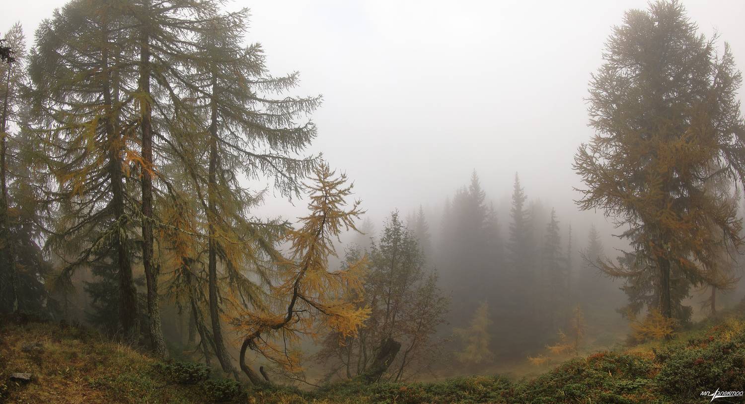 swiss,швейцария,осень,горы,туман,bettmeralp, Матвеев Николай