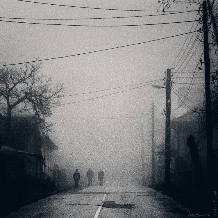 , Denis Buchel