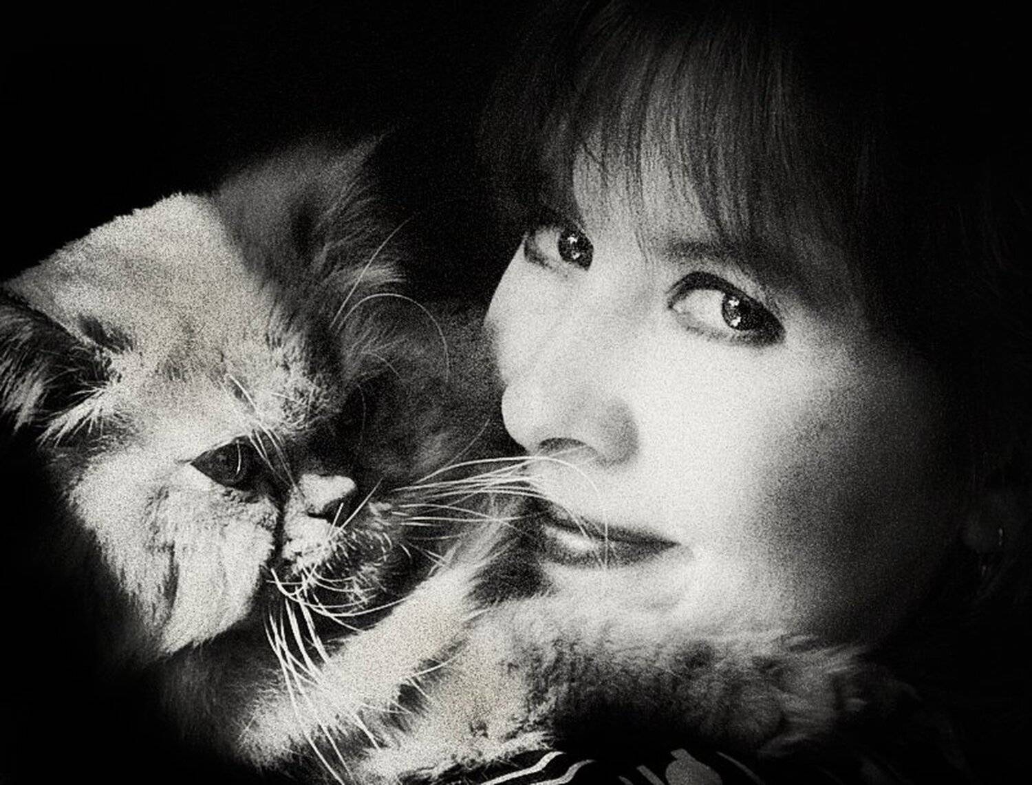 автопортрет, с, котом, Nateletro