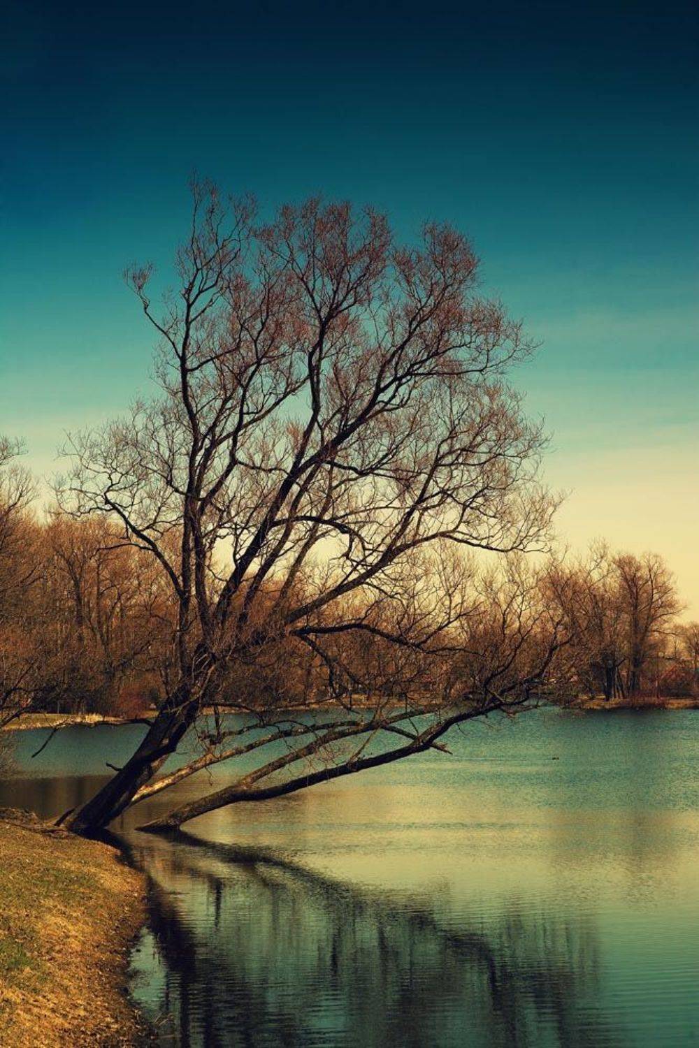 , Смирнов Павел