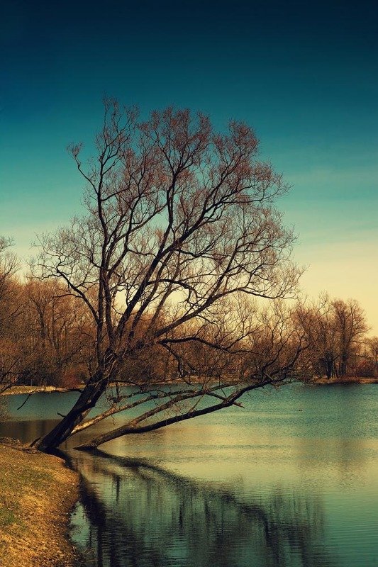 отражения весны фото превью