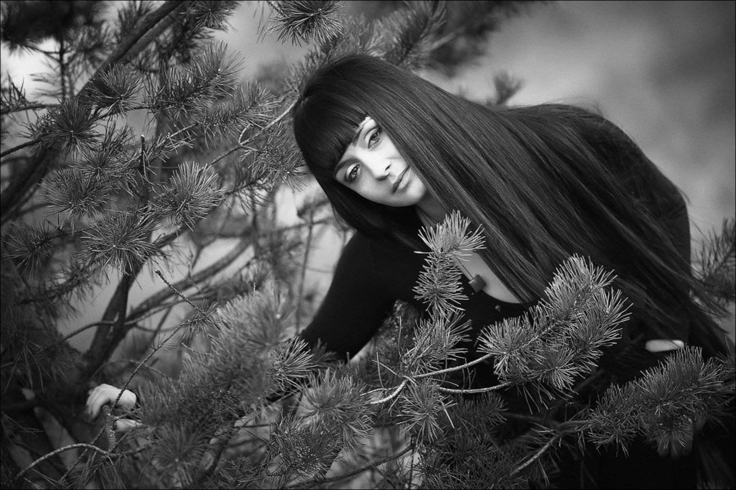 , Роман Быков