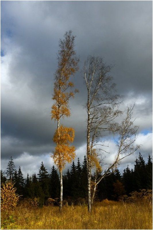 *** фото превью