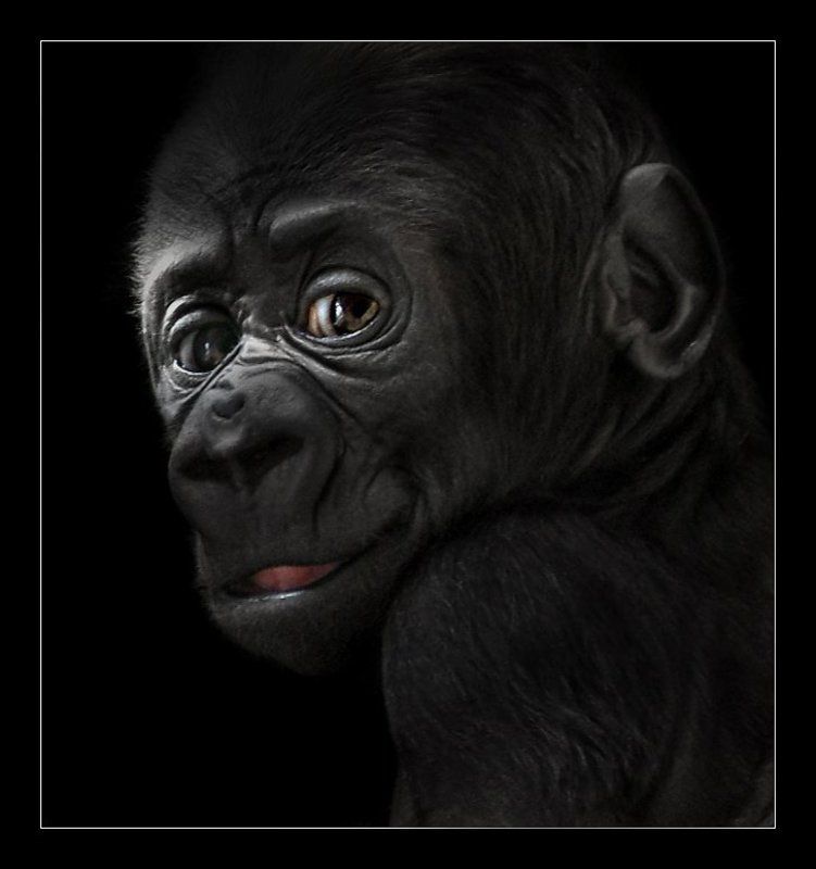 Портрет фото превью