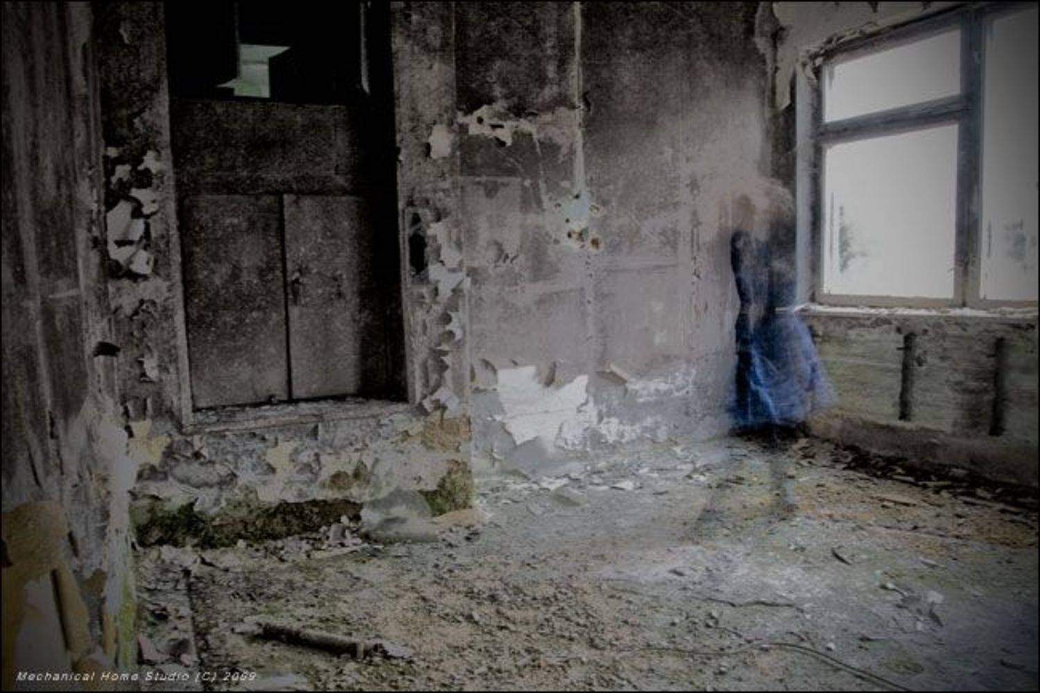 dreams, Сборщик