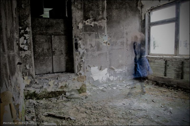 dreams  фото превью