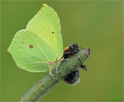 Подвинься, дай передохнуть
