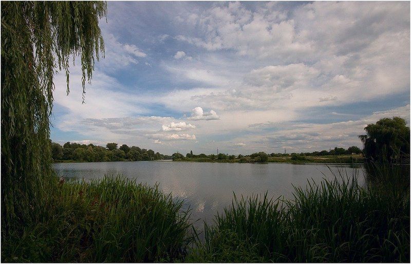 река, камыш Рось II фото превью