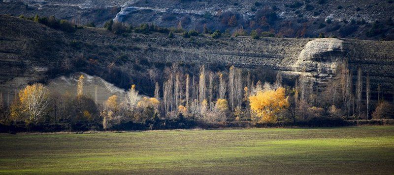 ***** фото превью