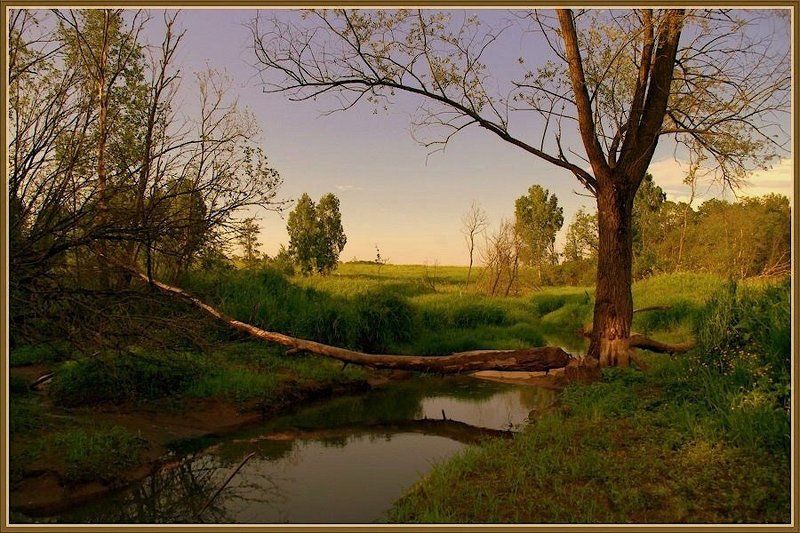 ***** фото превью