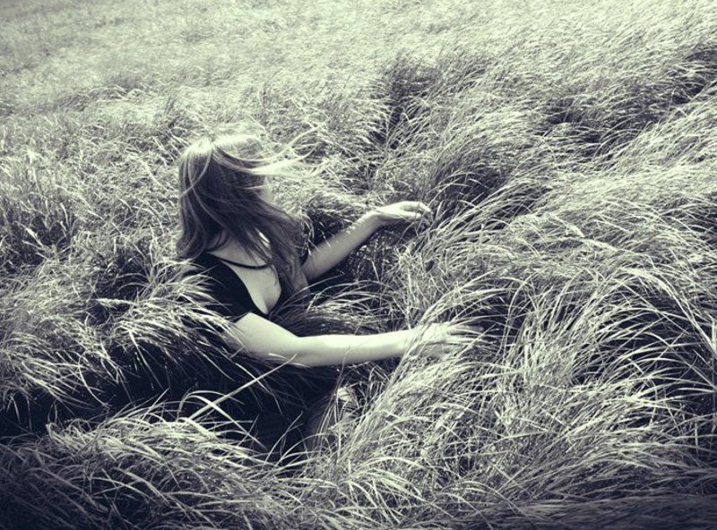 поле, ветер, волны greenwaves фото превью