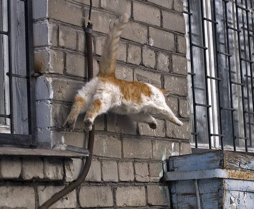 бегом, от, соседки, stepan15