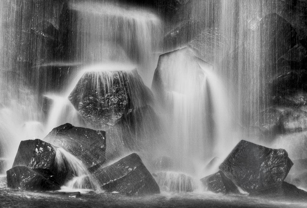 черный!, Яна Митина