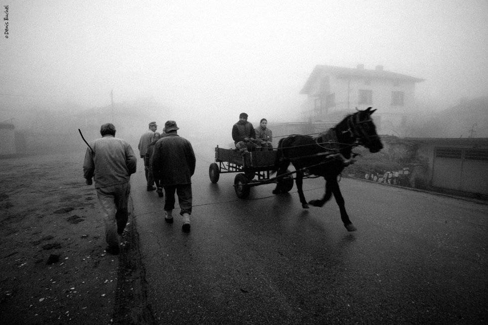, Denis Buchel