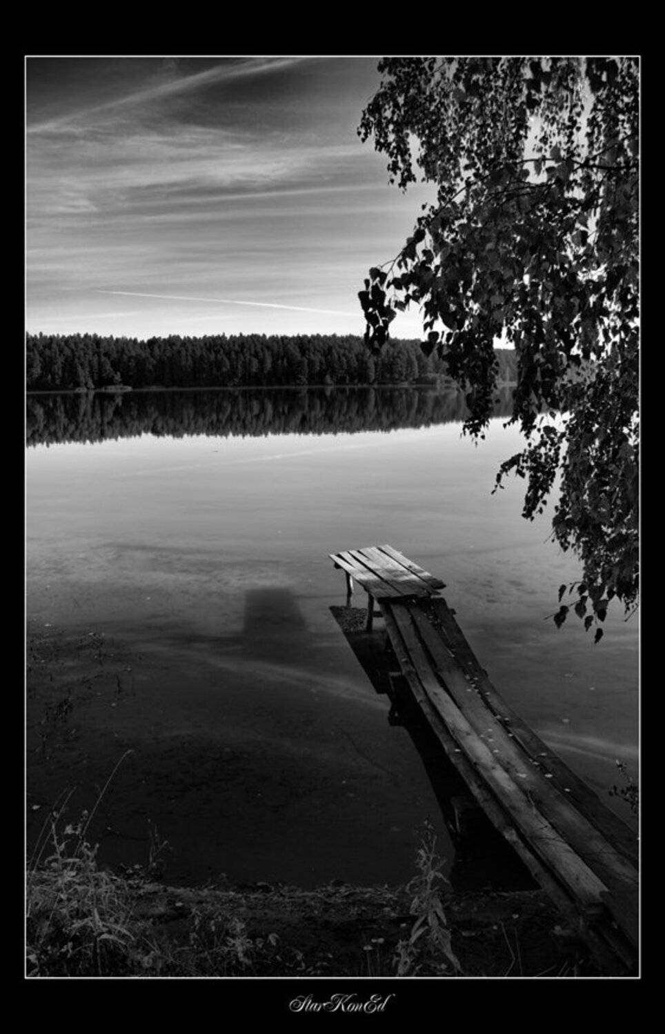 , Константин Стародубцев