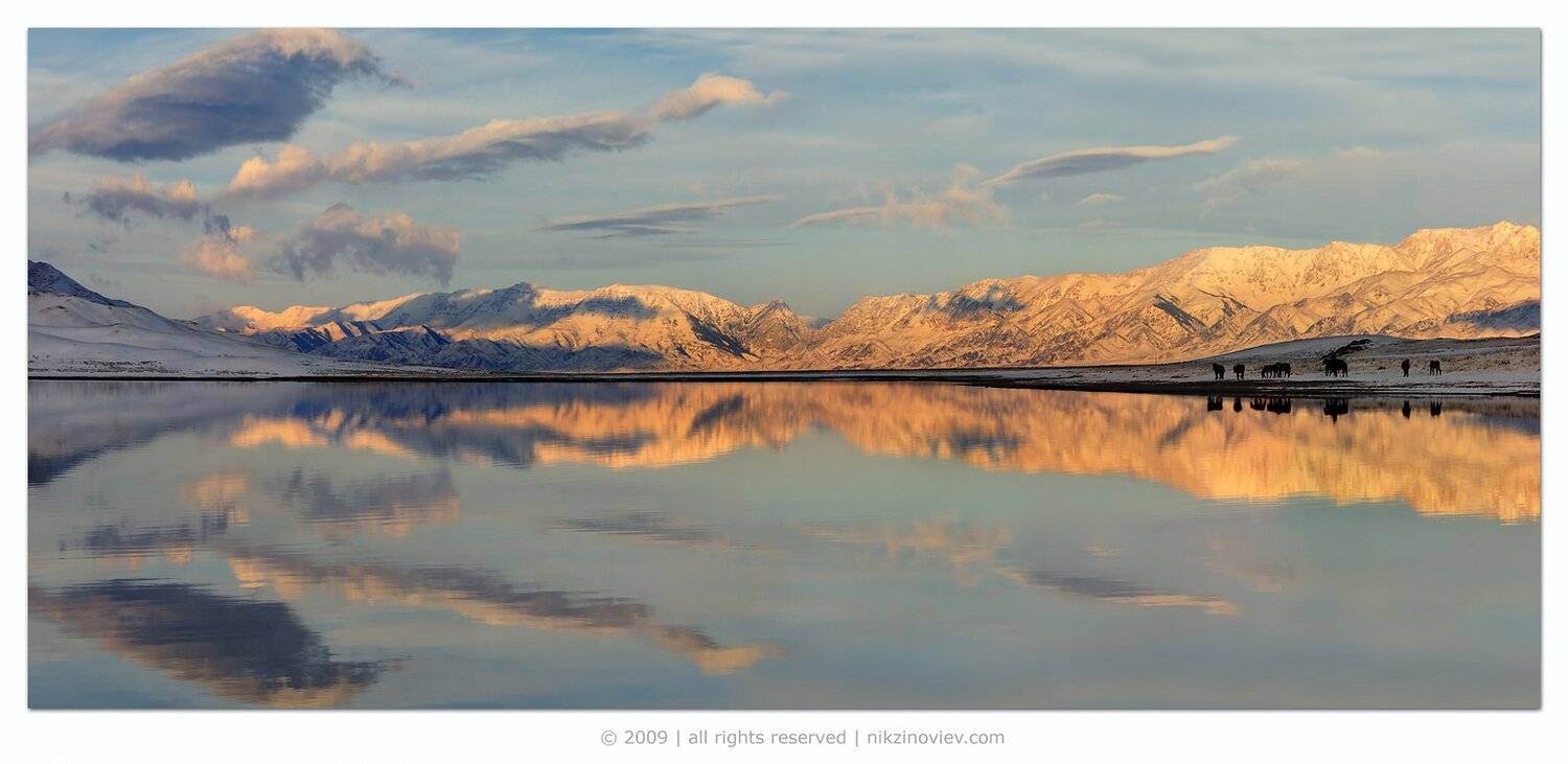 , Николай Зиновьев