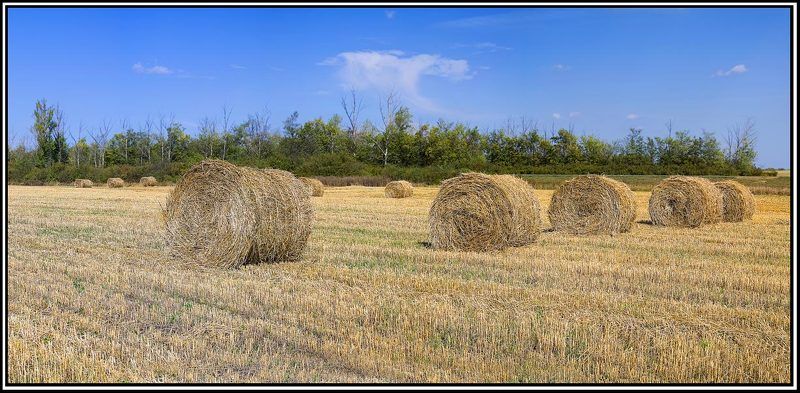 каталы фото превью
