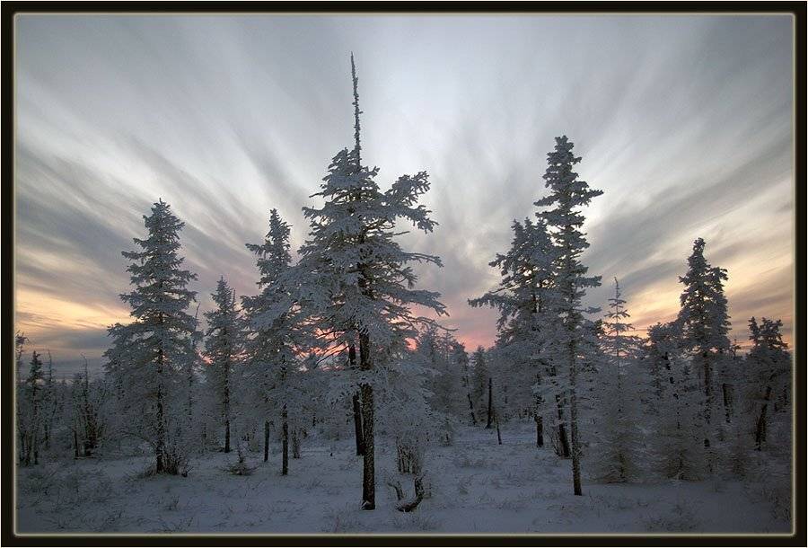 вечер,тайга,зима,заполярье, Солодухин Виктор