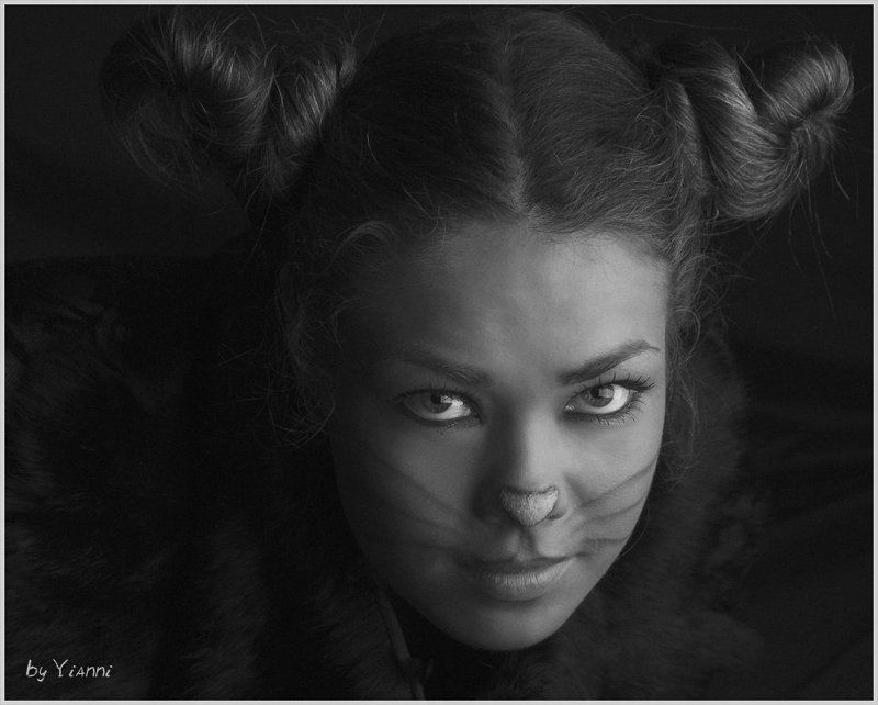 девушка, кошка *** фото превью