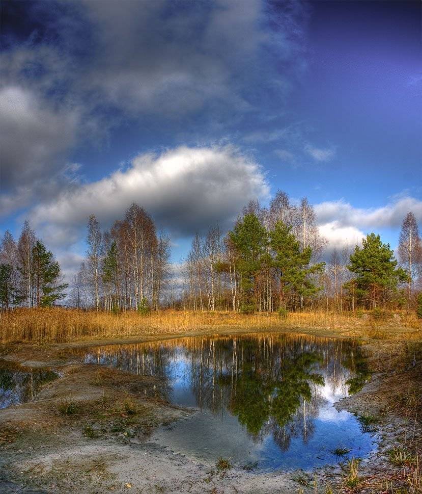 осень, лужа, облака, отражение, Mishin Ilay