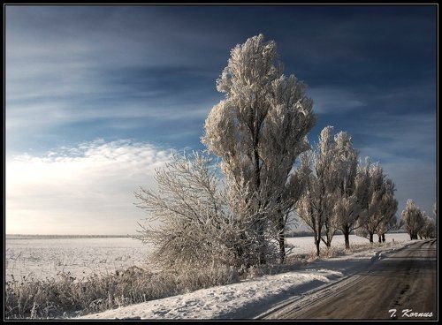 Зимняя дорога