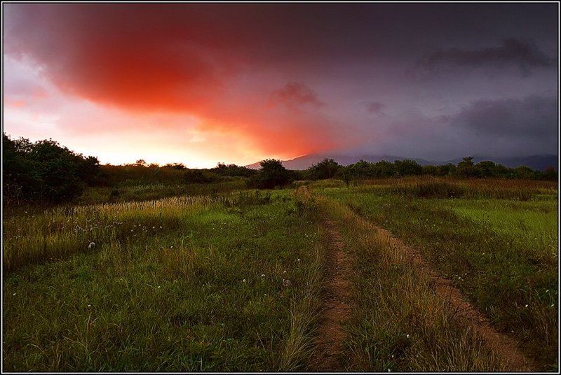 Свет и Тьма,но дорога одна.. фото превью