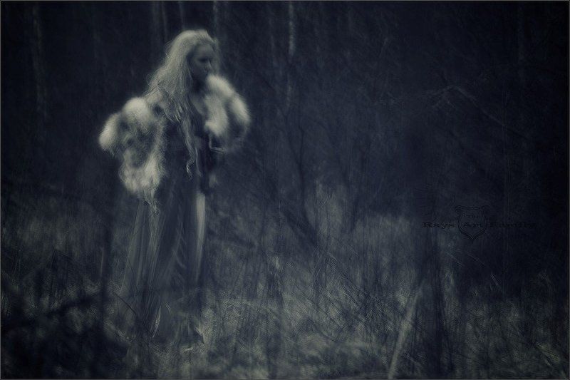 Сумерки фото превью