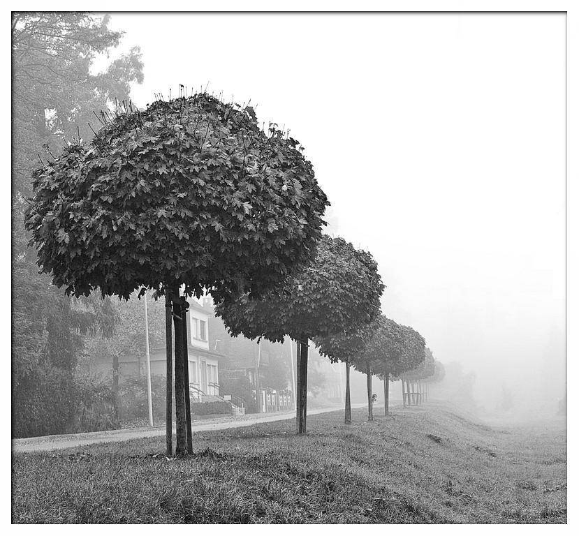 городские, пейзажики, Ulan Alash